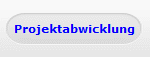 Projektabwicklung